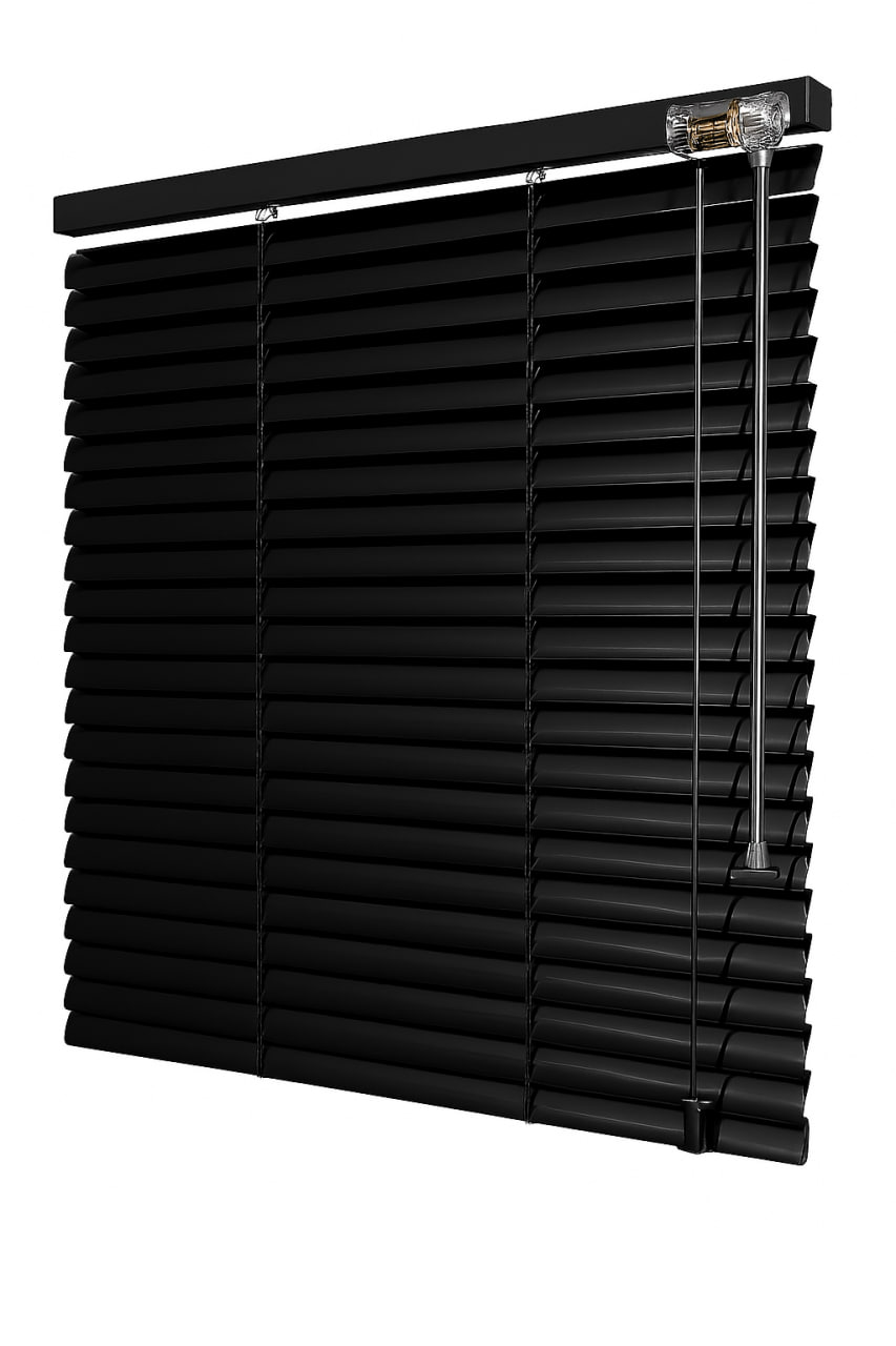 photo_2026-03-01_22-29-41