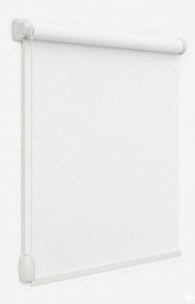 photo_2026-03-11_06-35-56