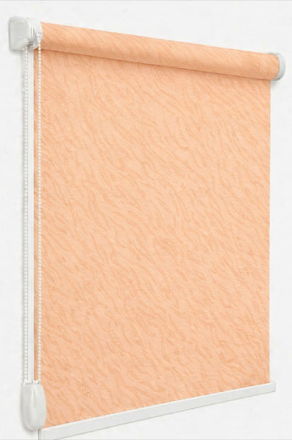 photo_2026-03-15_00-20-46